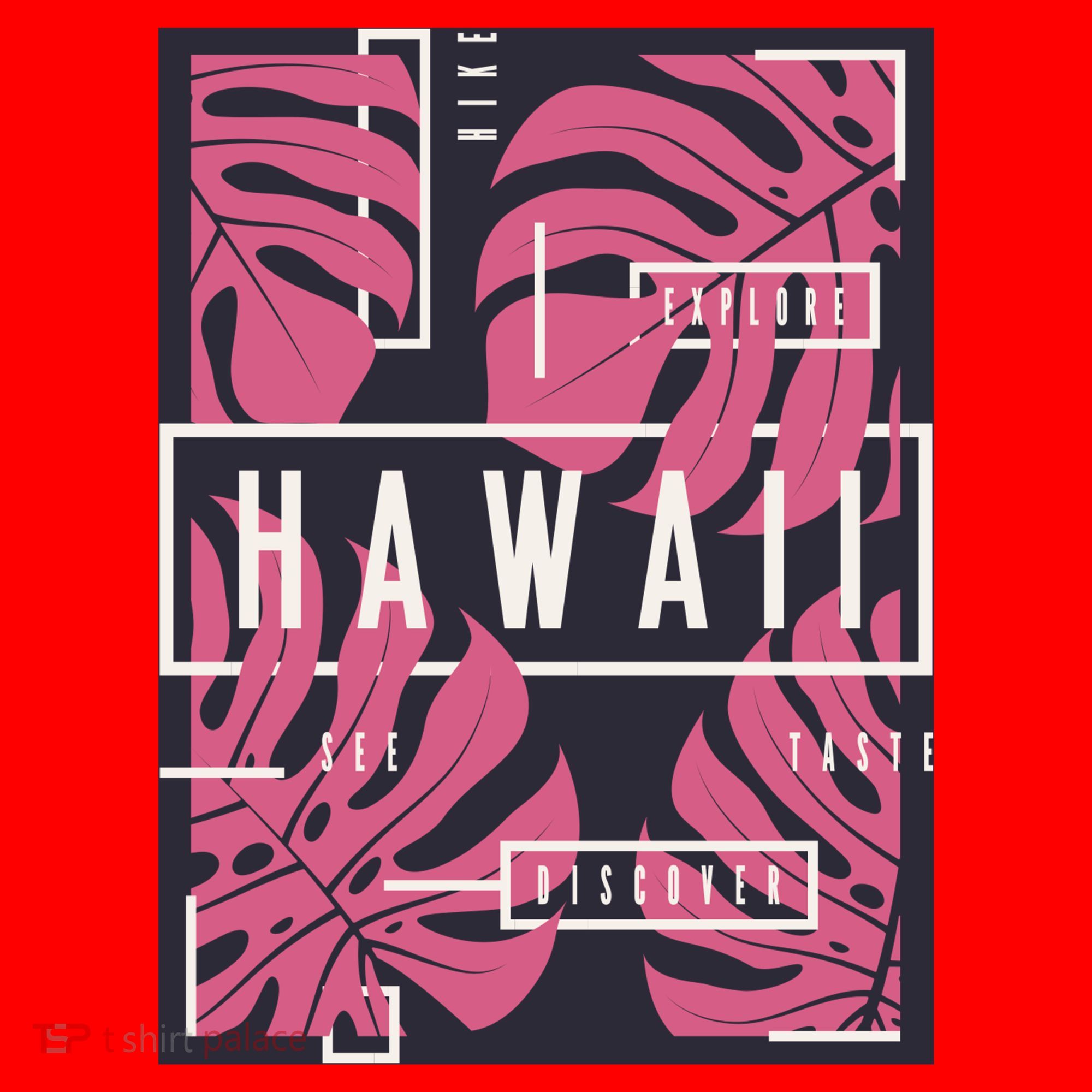 Hawaii Vibes Classic  Santa Hat