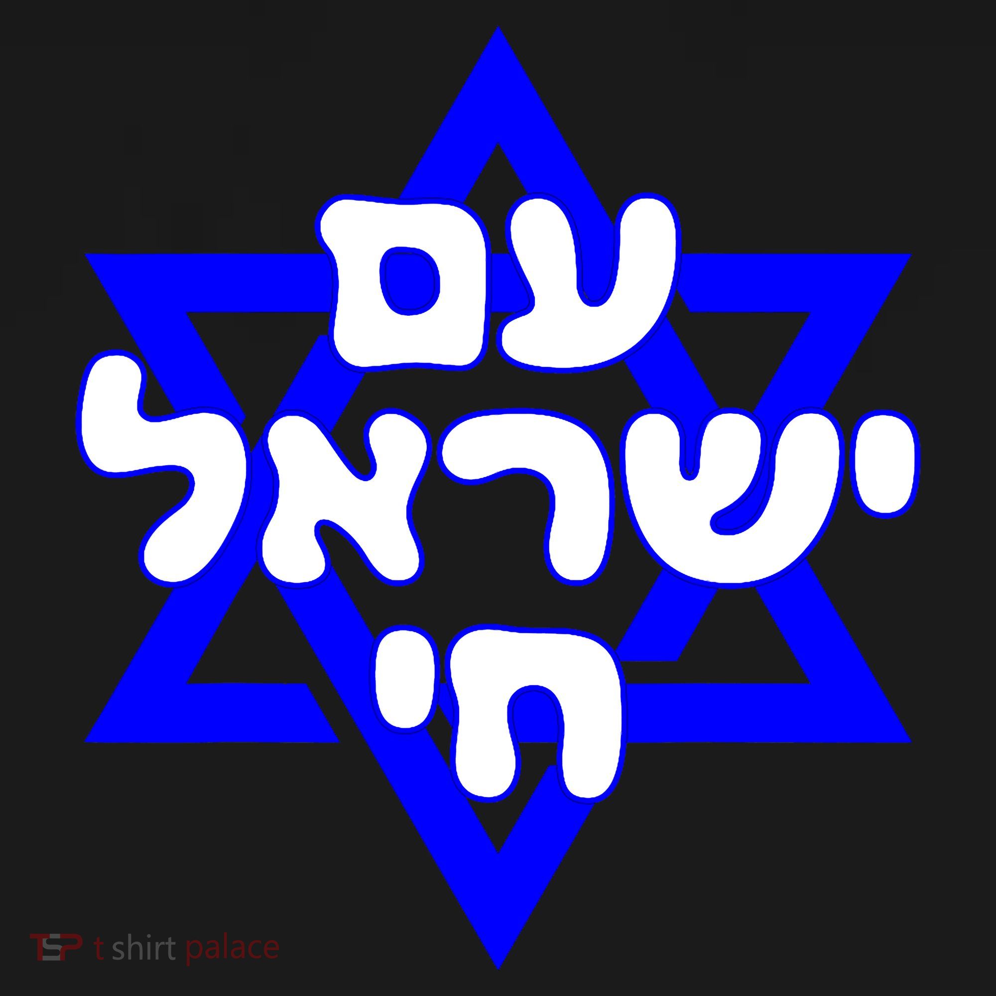 Hebrew Am Yisrael Chai Israel Magen Davi Ornament