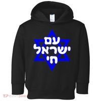 Hebrew Am Yisrael Chai Israel Magen Davi Toddler Hoodie thumb 0