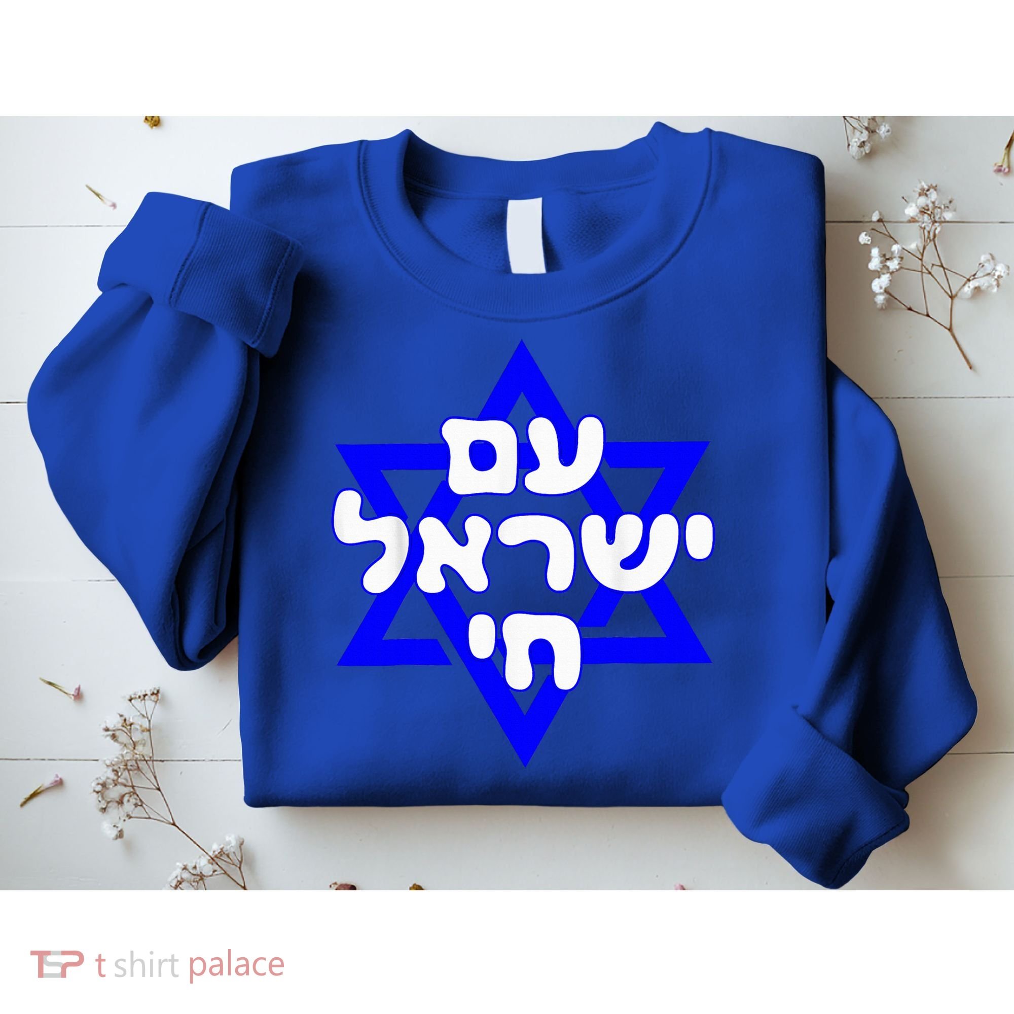 Hebrew Am Yisrael Chai Israel Magen David  Sweatshirt