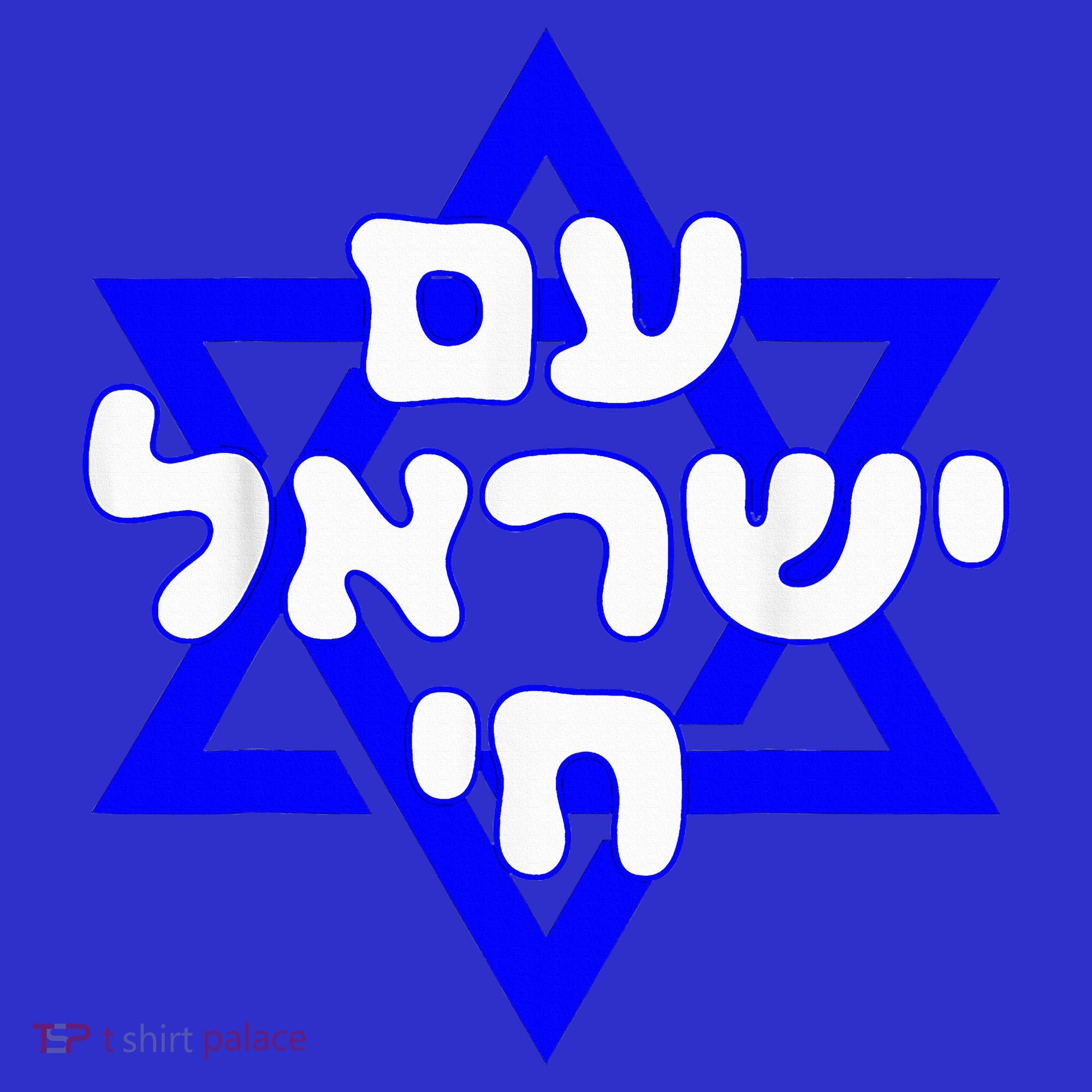 Hebrew Am Yisrael Chai Israel Magen David  Sweatshirt
