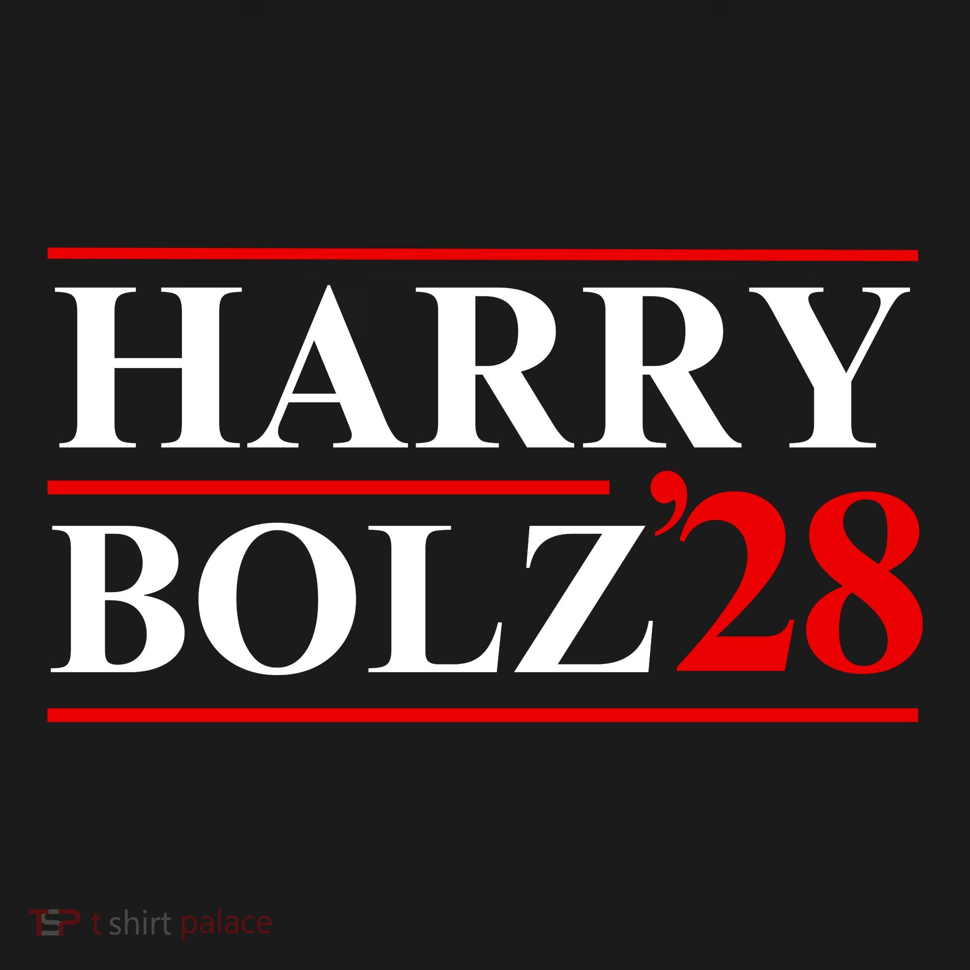 Harry Bolz 2028 Funny Political Meme D.O.G & E Ornament