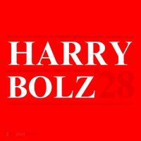 Harry Bolz 2028 Funny Political Meme D.O.G & E Santa Hat thumb 1