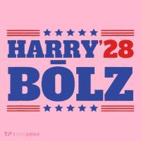 Harry Bolz 2028 Political Meme D.O.G.E. Women's T-Shirt thumb 6