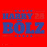 Harry Bolz 2028 Political Meme D.O.G.E. Santa Hat thumb 1