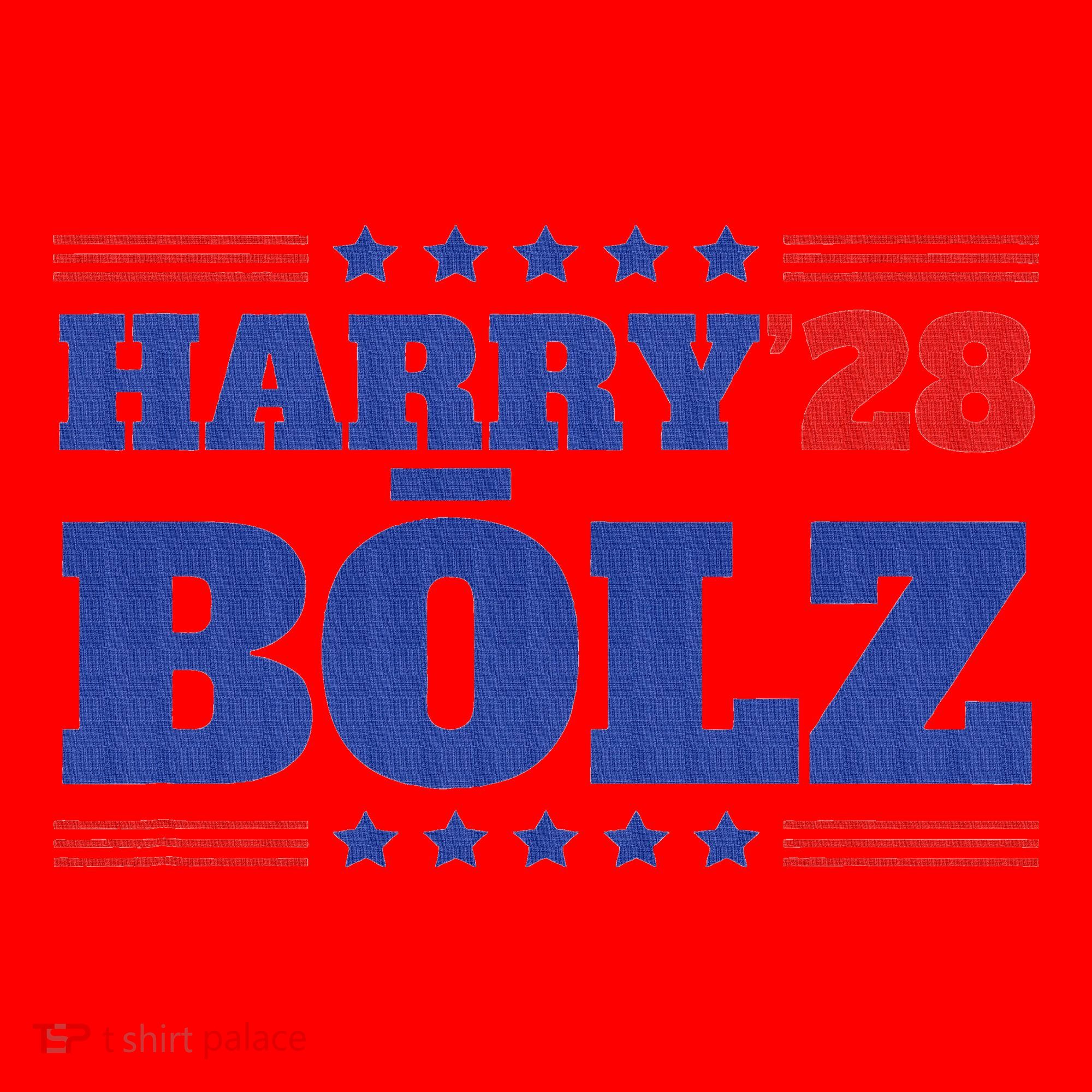 Harry Bolz 2028 Political Meme D.O.G.E. Santa Hat