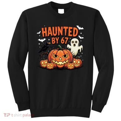 Haunted By 67 Funny Ghost Pumpkin Halloween Costume Sweatshirt