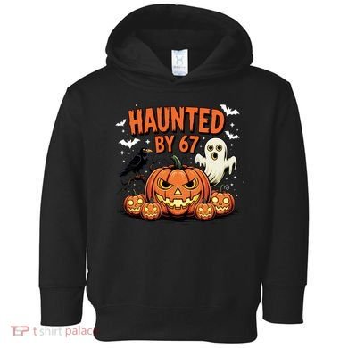 Haunted By 67 Funny Ghost Pumpkin Halloween Costume Toddler Hoodie