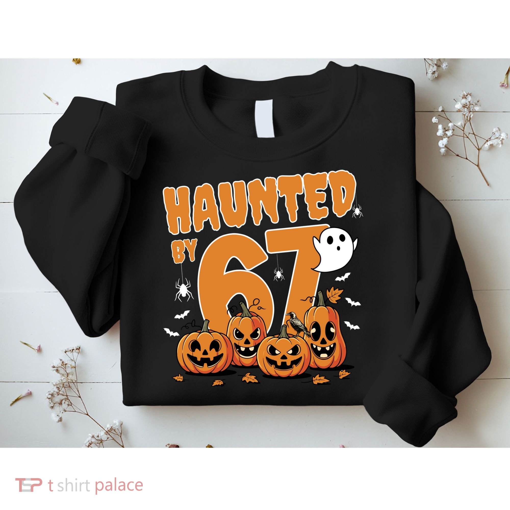 Haunted By 67 Funny Halloween 6-7 Sweatshirt