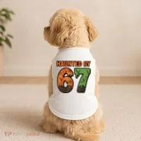 Haunted By 67 Halloween Meme Doggie Tank thumb 2