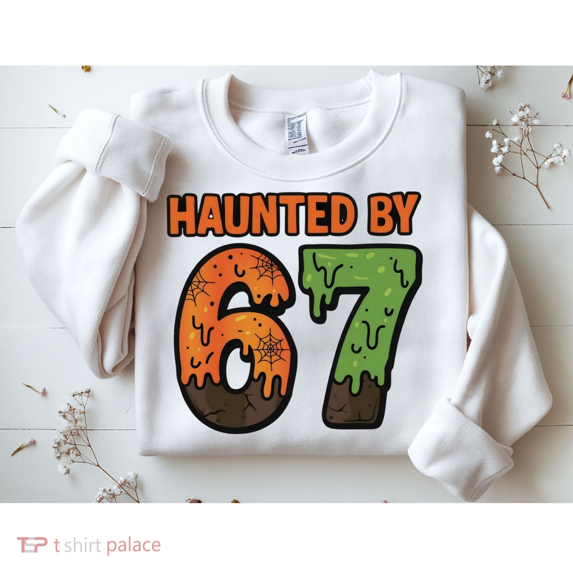 Haunted By 67 Halloween Meme Sweatshirt