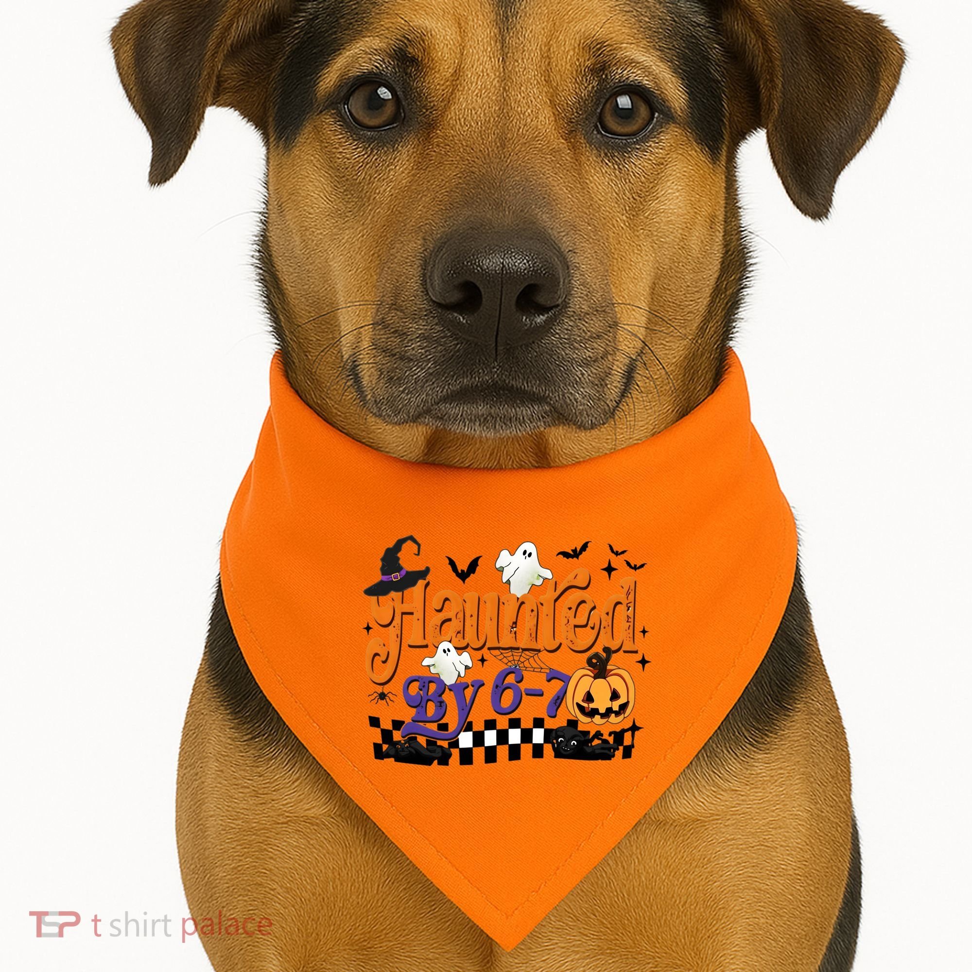 Haunted By 67 Halloween Funny Meme Joke USA-Made Doggie Bandana