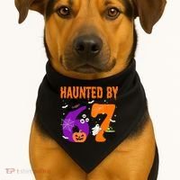 Haunted By 67 Six Seven Halloween 6-7 USA-Made Doggie Bandana thumb 1