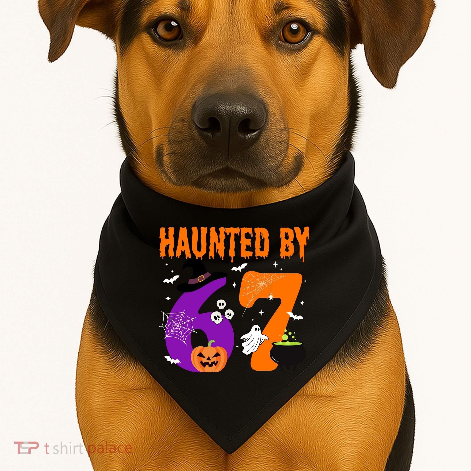 Haunted By 67 Six Seven Halloween 6-7 USA-Made Doggie Bandana
