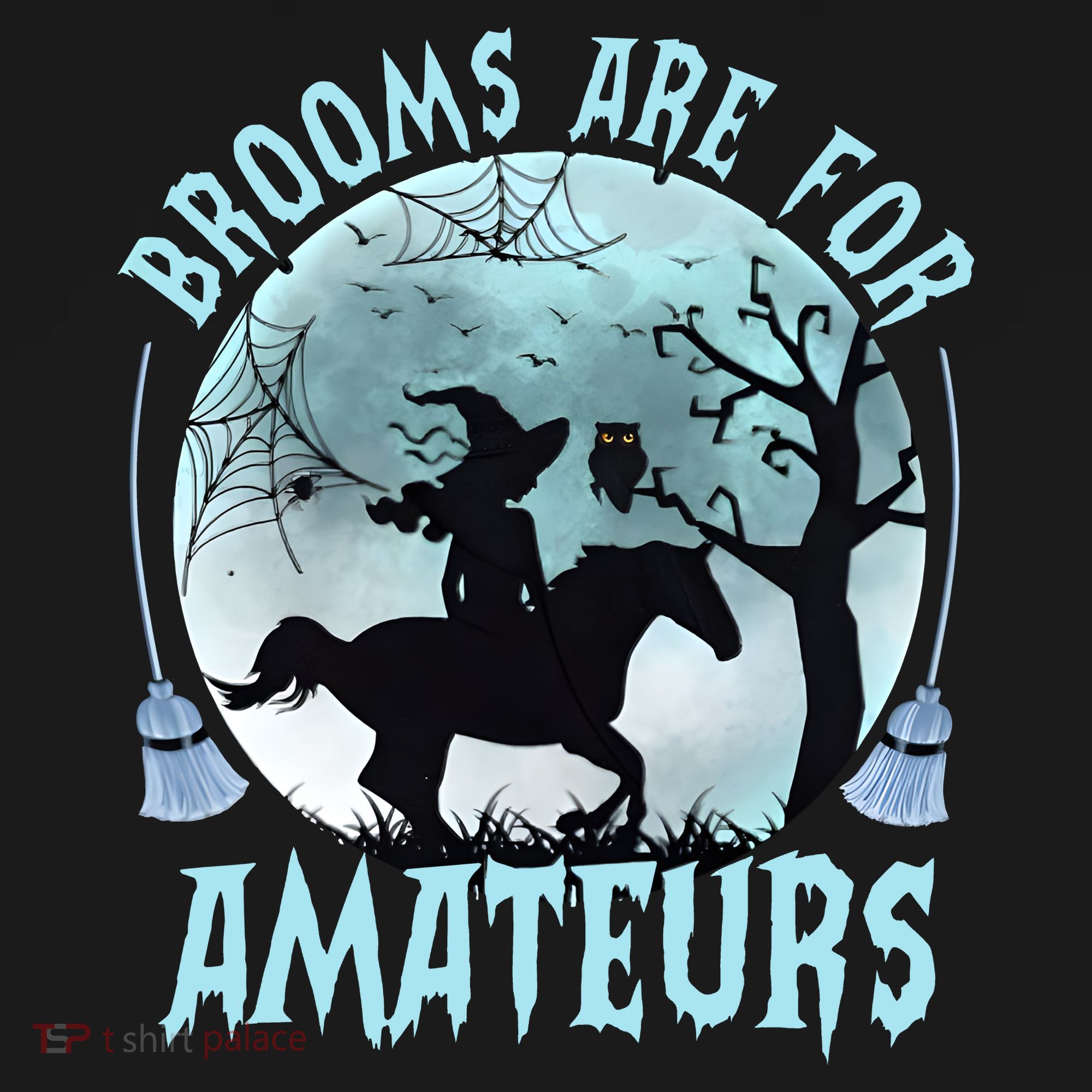 Horse Brooms Are For Amateurs Funny Witch Riding Horse Halloween Women's Hoodie