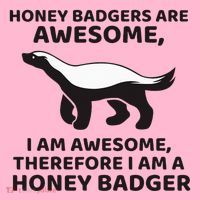 Honey Badgers Are Awesome Therefore I Am A Honey Badger Coaster thumb 2