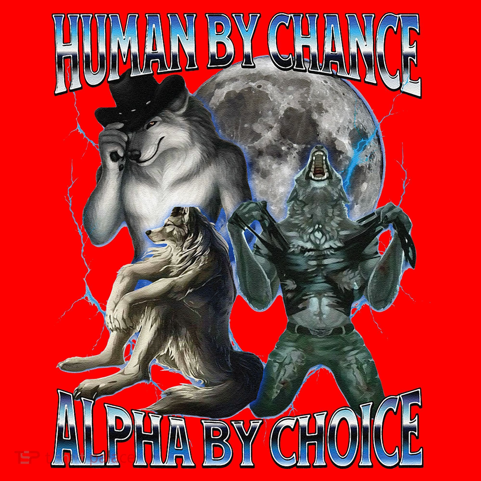 Human By Chance Alpha By Choice Cool Weird Alpha Wolf Meme Gift Santa Hat