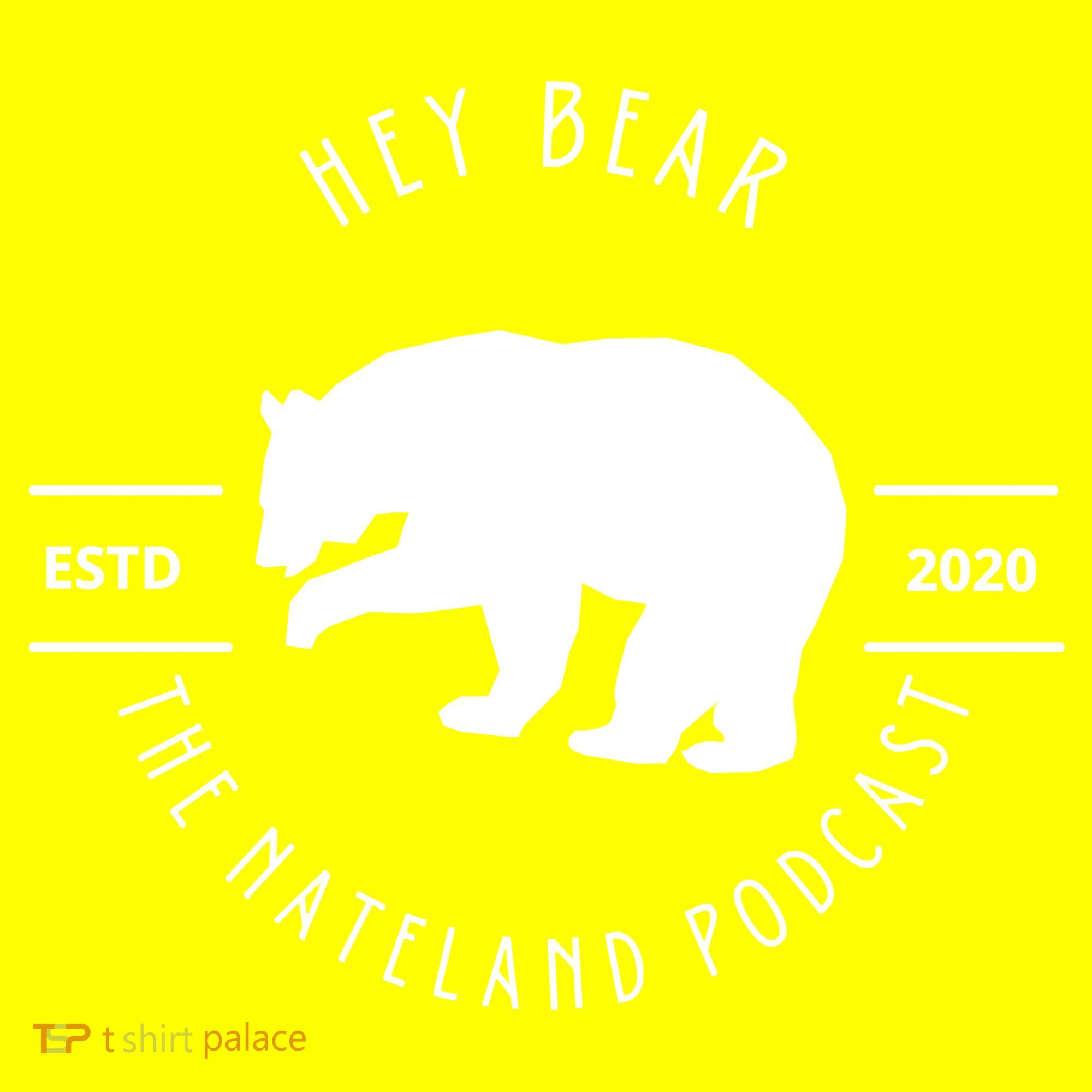 Hey Bear DK Toddler T-Shirt