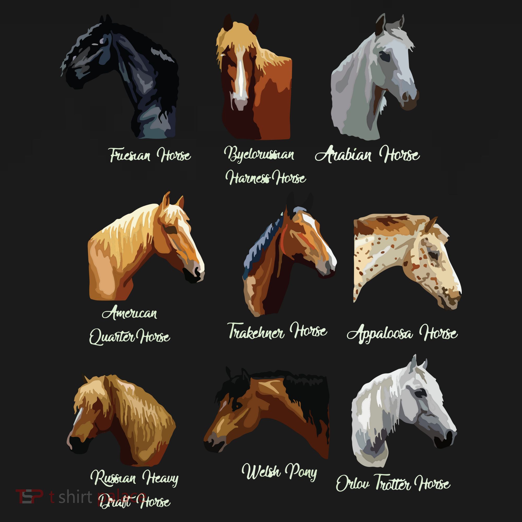 Horse Breeds Equestrian Horseback Riding Gift Kids Sweatshirt