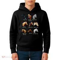 Horse Breeds Equestrian Horseback Riding Gift Kids Hoodie thumb 4