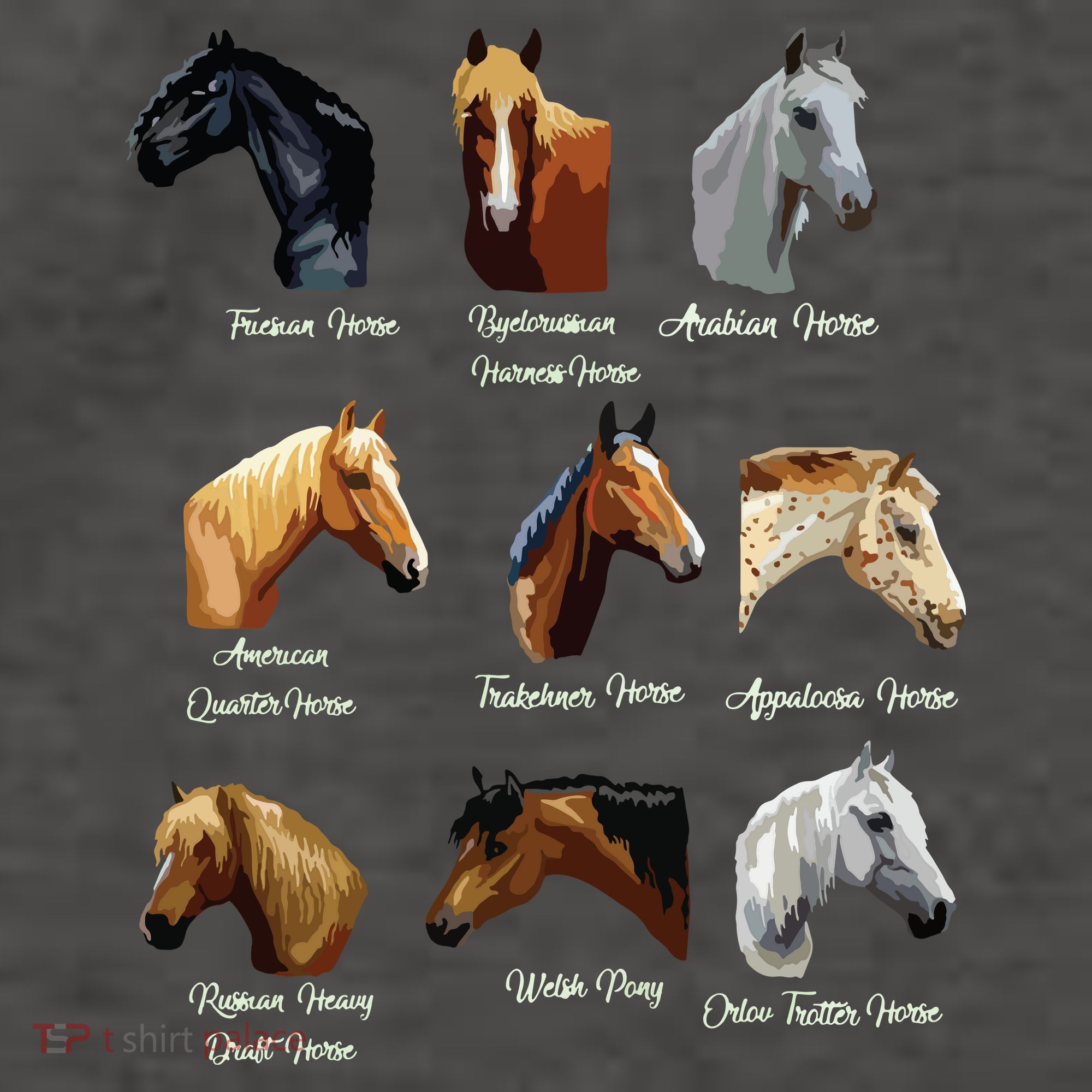 Horse Breeds Equestrian Horseback Riding Gift Women's T-Shirt