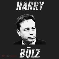 Harry Bolz Funny Meme Big Balls Viral Trending Parody Hat thumb 2