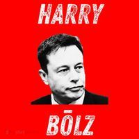 Harry Bolz Funny Meme Big Balls Viral Trending Parody Santa Hat thumb 1
