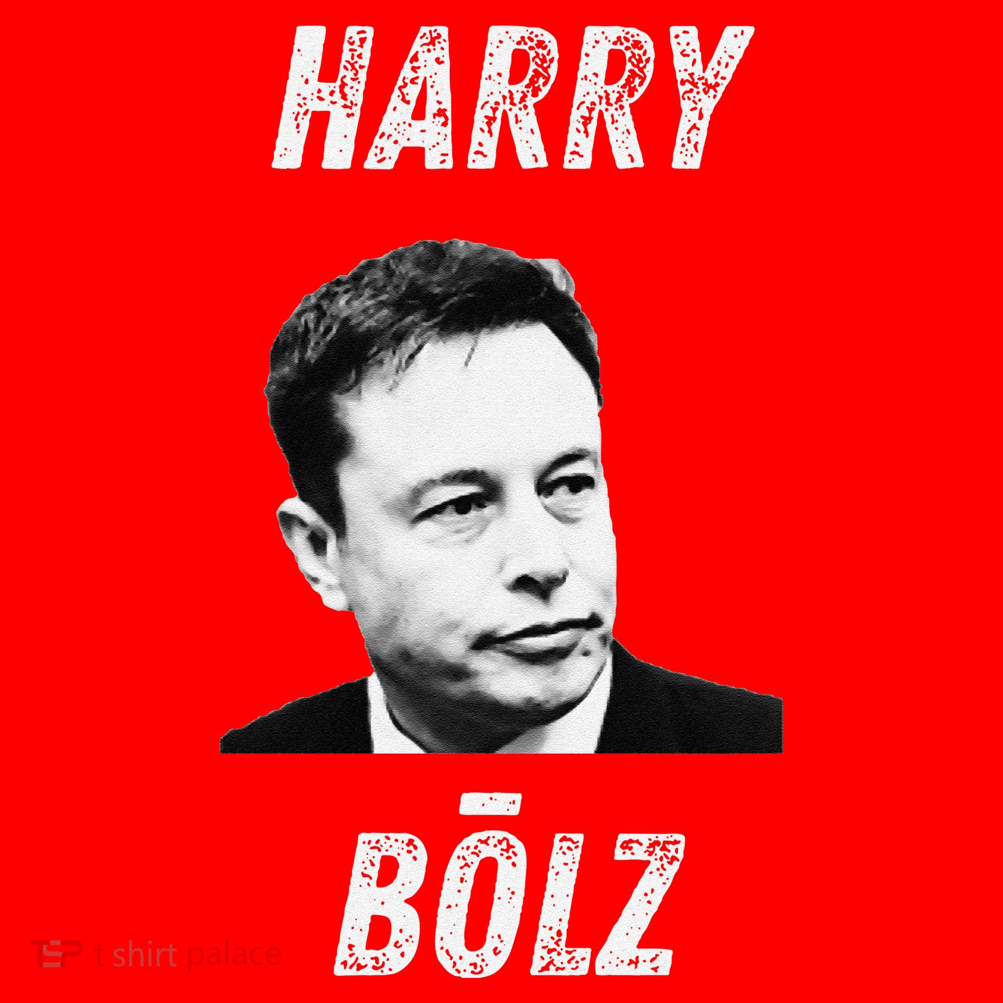 Harry Bolz Funny Meme Big Balls Viral Trending Parody Santa Hat