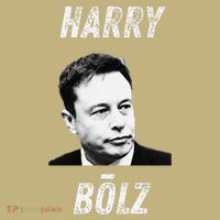 Harry Bolz Funny Meme Big Balls Viral Trending Parody T-Shirt thumb 7