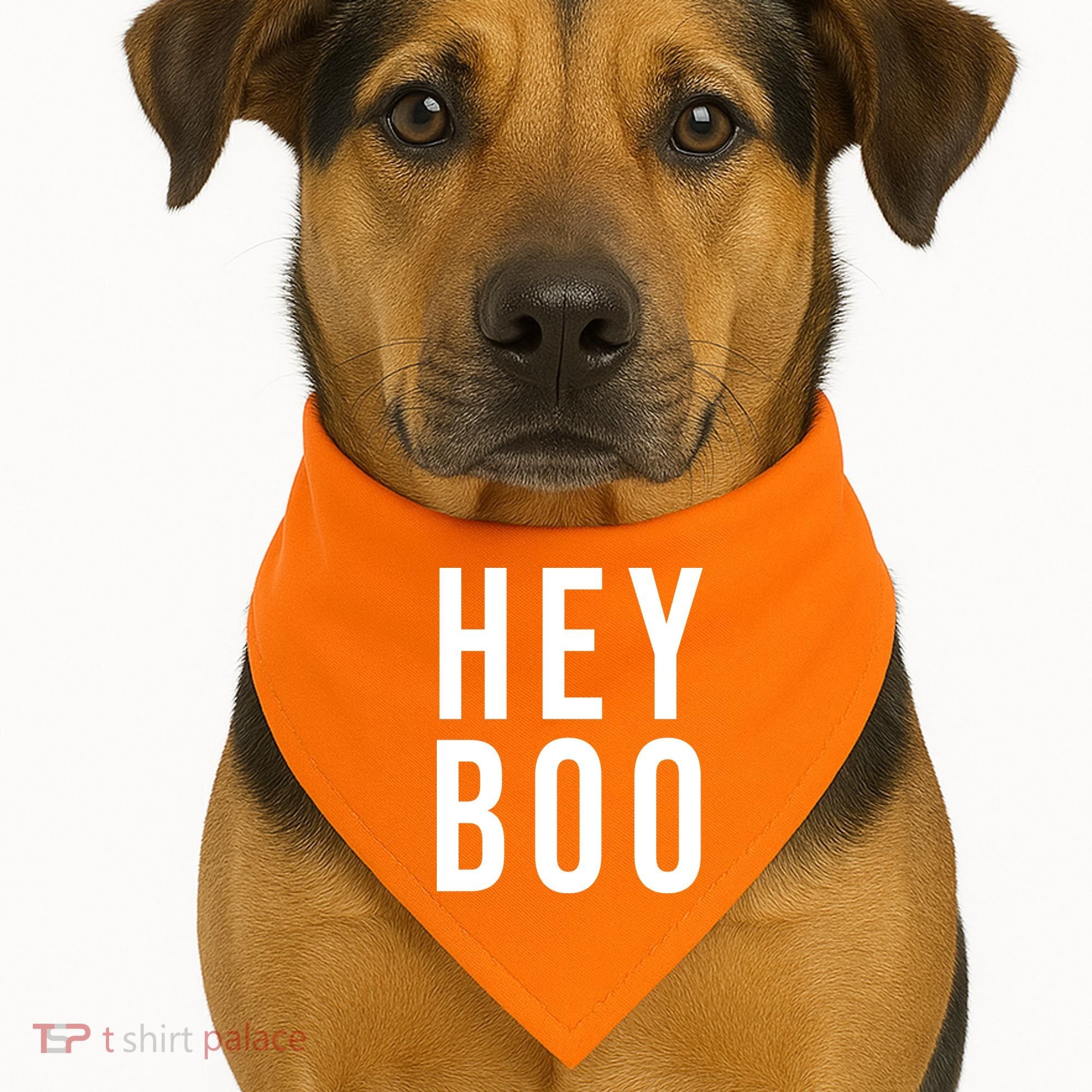 Hey Boo Funny Halloween Festive USA-Made Doggie Bandana