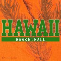 Hawaii Basketball Kati Licensed 12" Camo Cuffed Beanie thumb 2