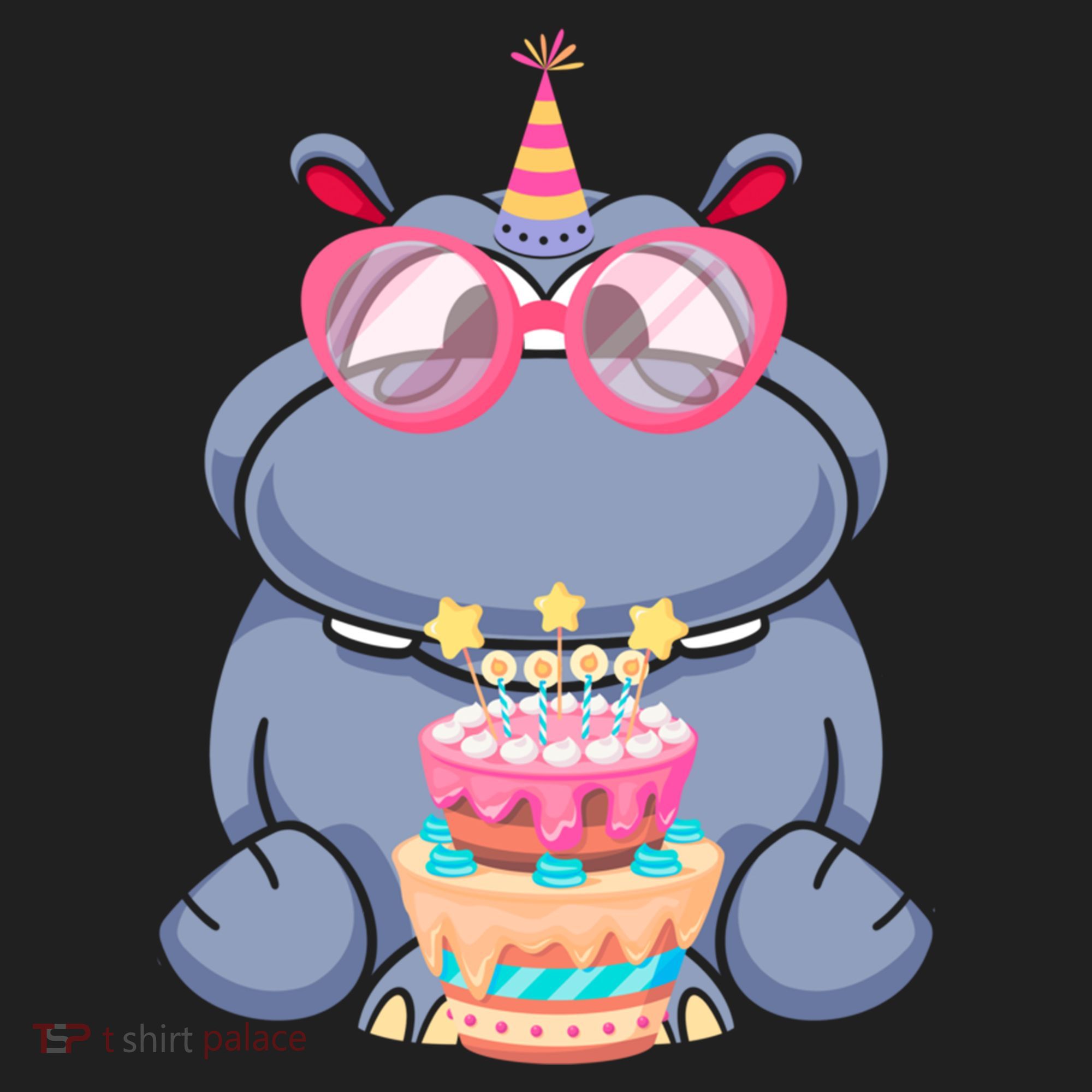 Hippopotamus Birthday Hippo Gift Beanie