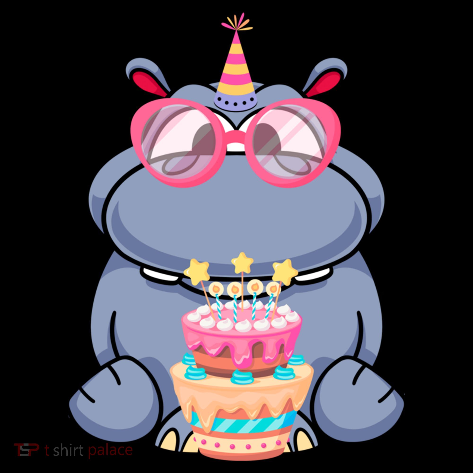 Hippopotamus Birthday Hippo Gift Women's Hoodie