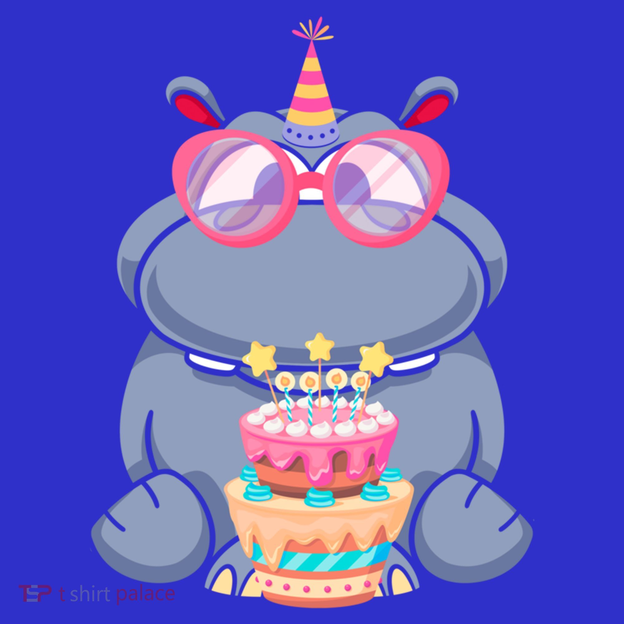 Hippopotamus Birthday Hippo Gift Long Sleeve Shirt