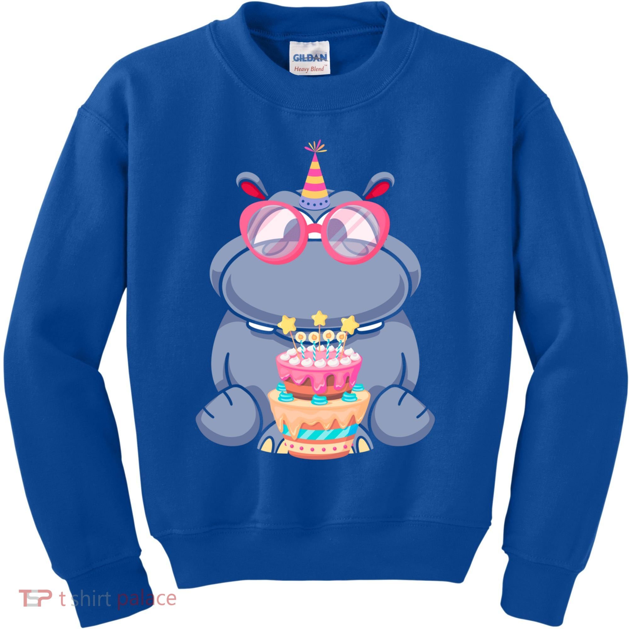 Hippopotamus Birthday Hippo Gift Kids Sweatshirt