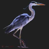 Heron Blue Heron Water Bird Beanie thumb 2
