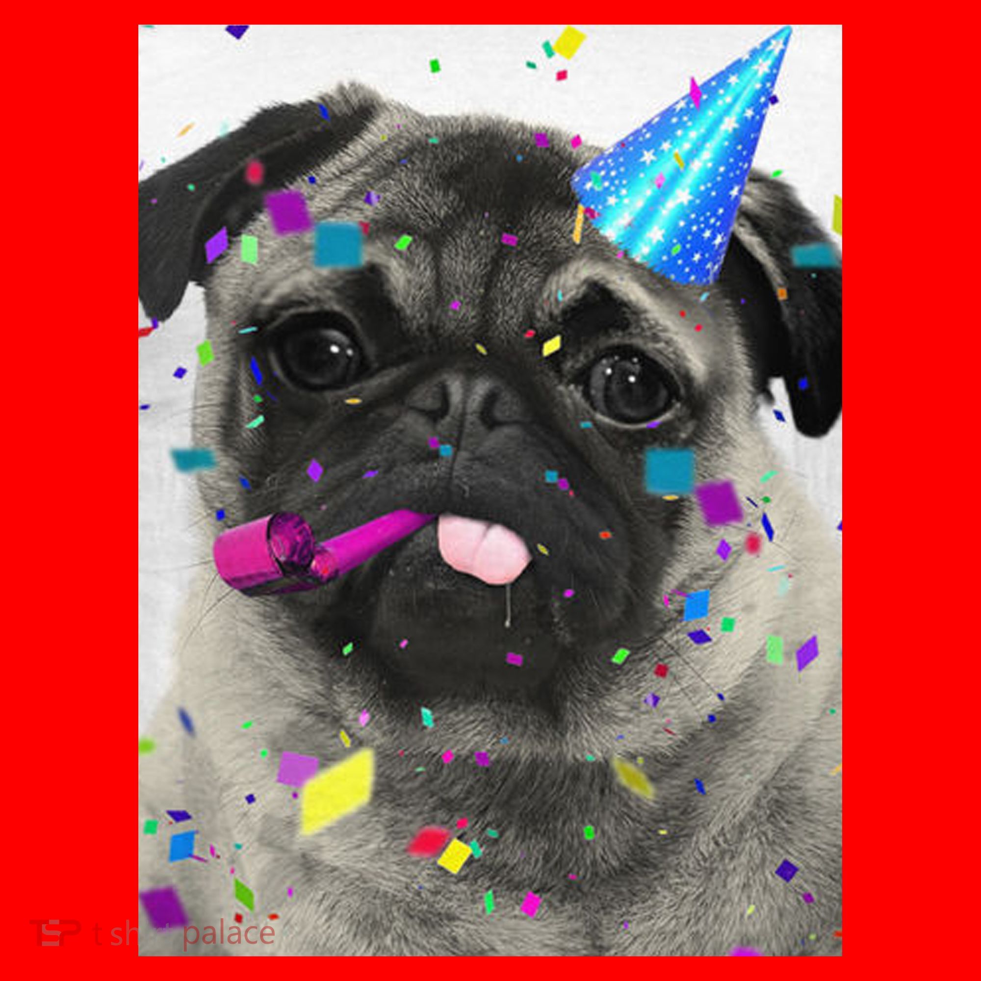 Happy Birthday Santa Hat