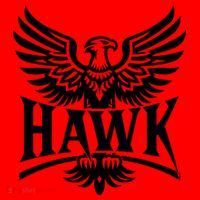 Hawk Bird Logo Santa Hat thumb 1