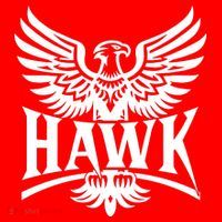 Hawk Bird Logo Kids Sweatshirt thumb 2