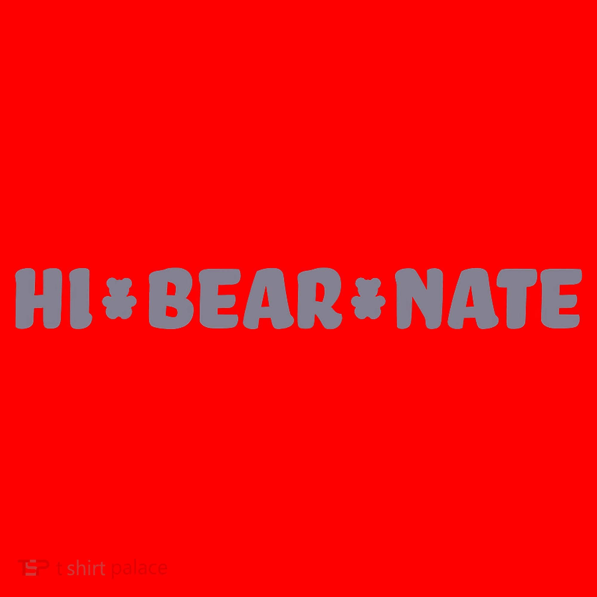 Hi Bear Nate Santa Hat