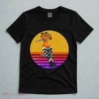Hoopoe Bird Retro Vintage Hoopoe Bird Lover Ornithology T-Shirt thumb 5