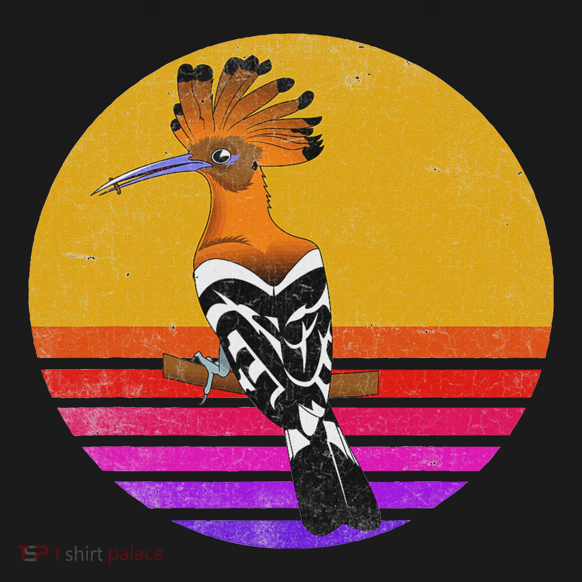 Hoopoe Bird Retro Vintage Hoopoe Bird Lover Ornithology T-Shirt
