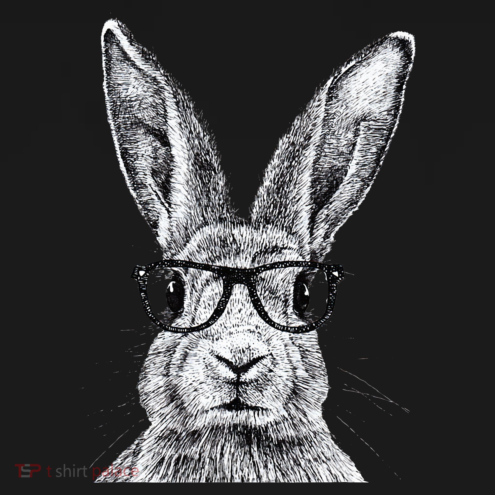 Hipster Bunny Rabbit Wearing Glasses Funny Drawing Coaster