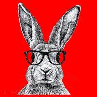 Hipster Bunny Rabbit Wearing Glasses Funny Drawing Santa Hat thumb 1