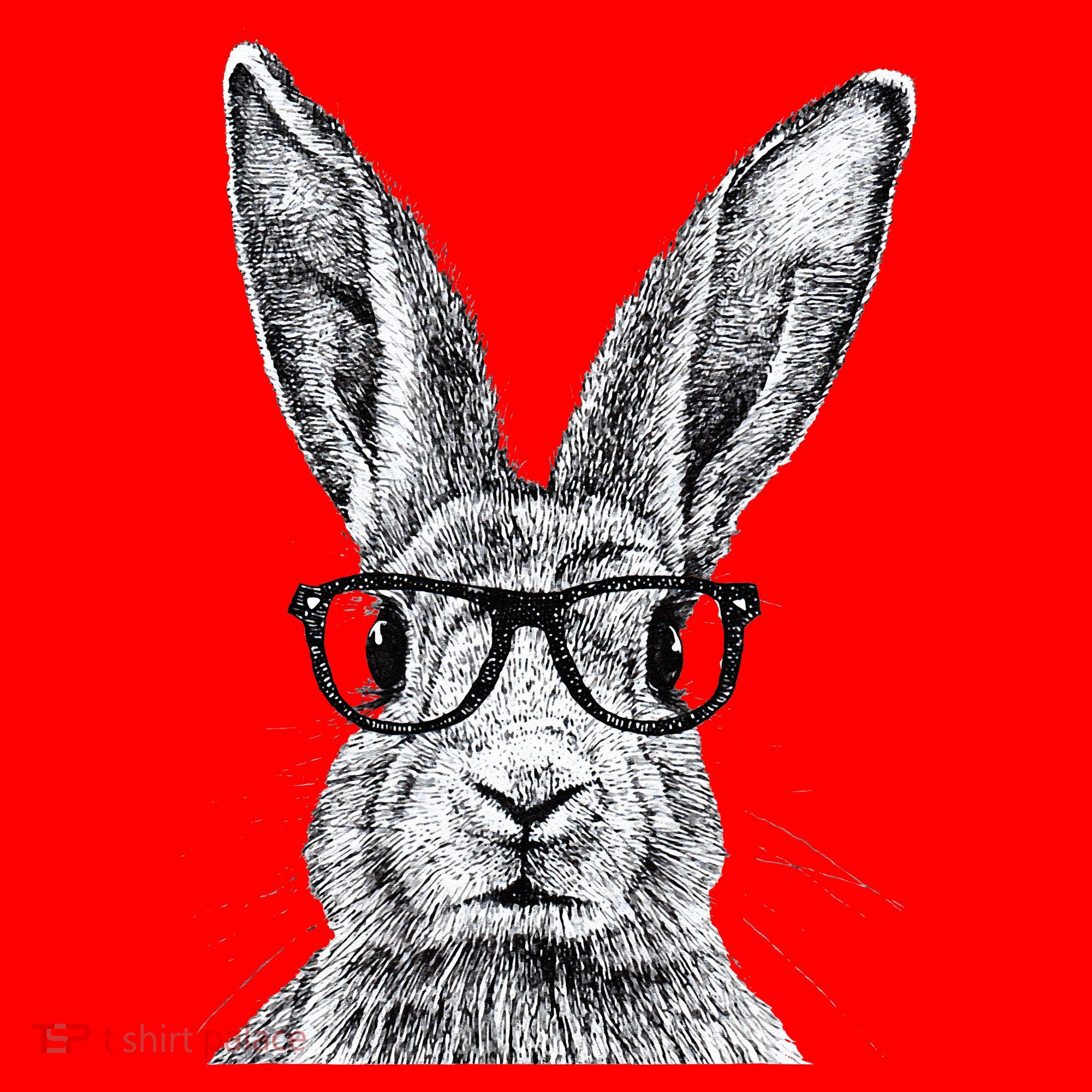 Hipster Bunny Rabbit Wearing Glasses Funny Drawing Santa Hat