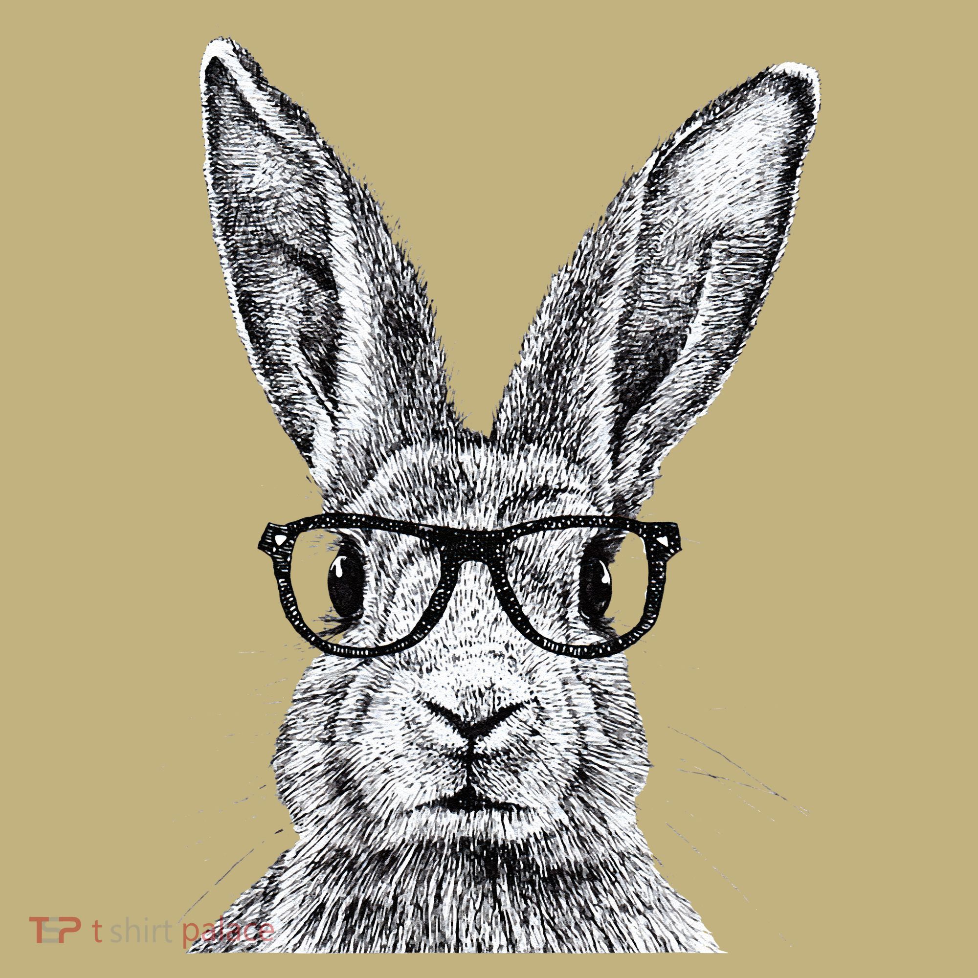 Hipster Bunny Rabbit Wearing Glasses Funny Drawing Hoodie