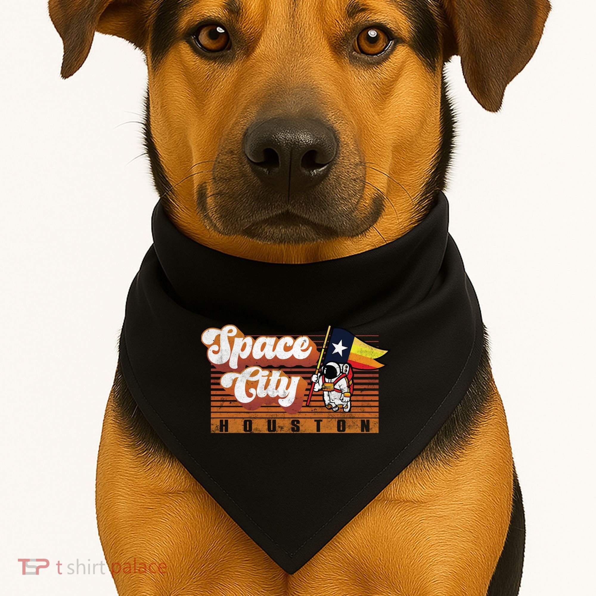 Houston Baseball Space City Astronaut Retro Distressed USA-Made Doggie Bandana