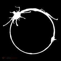 Heptapod B (Translation Human) Inverted Women's T-Shirt thumb 6