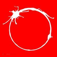 Heptapod B (Translation Human) Inverted Santa Hat thumb 1
