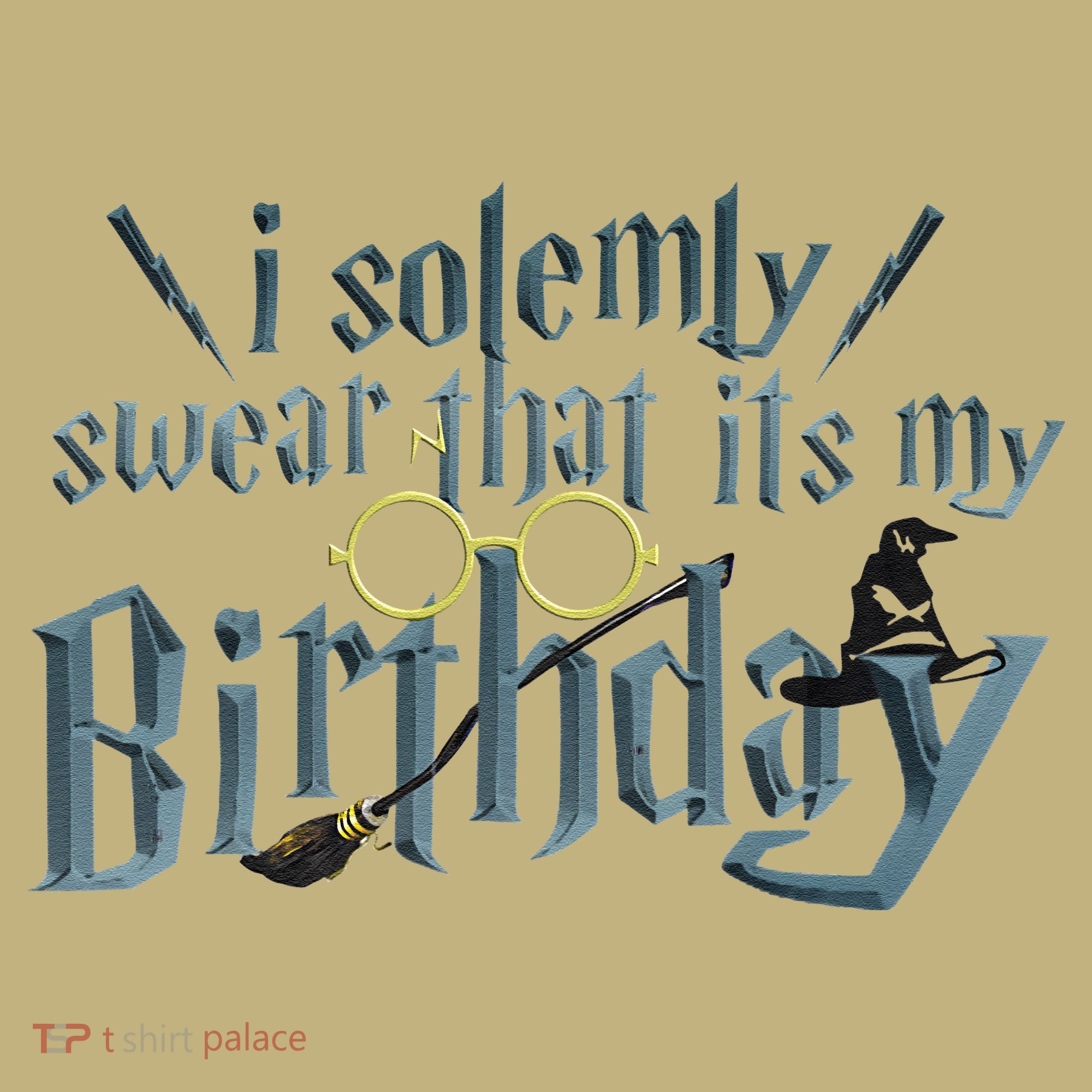 Harry Birthday Wizard, I Solemnly Swear Its My Birthday T-Shirt
